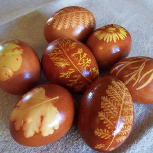 natural-eggs.jpg