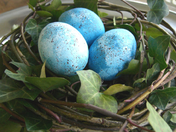 speckled-eggs1.jpg